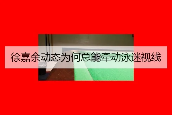 徐嘉余动态为何总能牵动泳迷视线